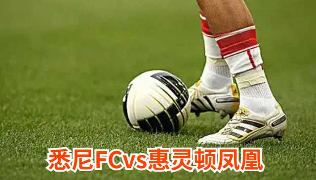 悉尼FCvs惠灵顿凤凰前瞻：亚冠晋级提振士气 凤凰亟需止血