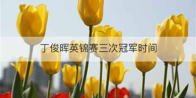 丁俊晖英锦赛三次冠军时间是什么时候
