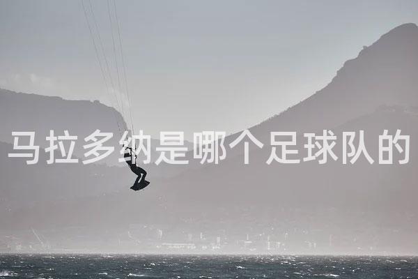 马拉多纳是哪个足球队的[马拉多纳的荣誉和贡献]
