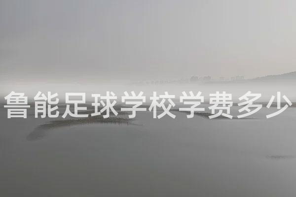 鲁能足校招生标准学费2023